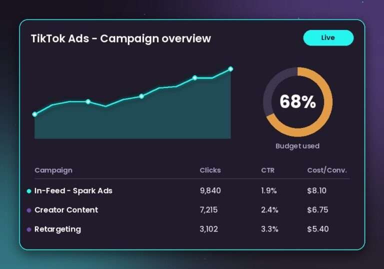 TikTok Ads campaign performance dashboard