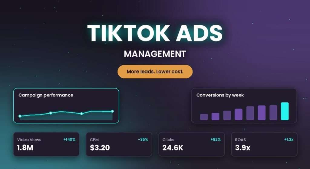TikTok Ads management services by SEO Return
